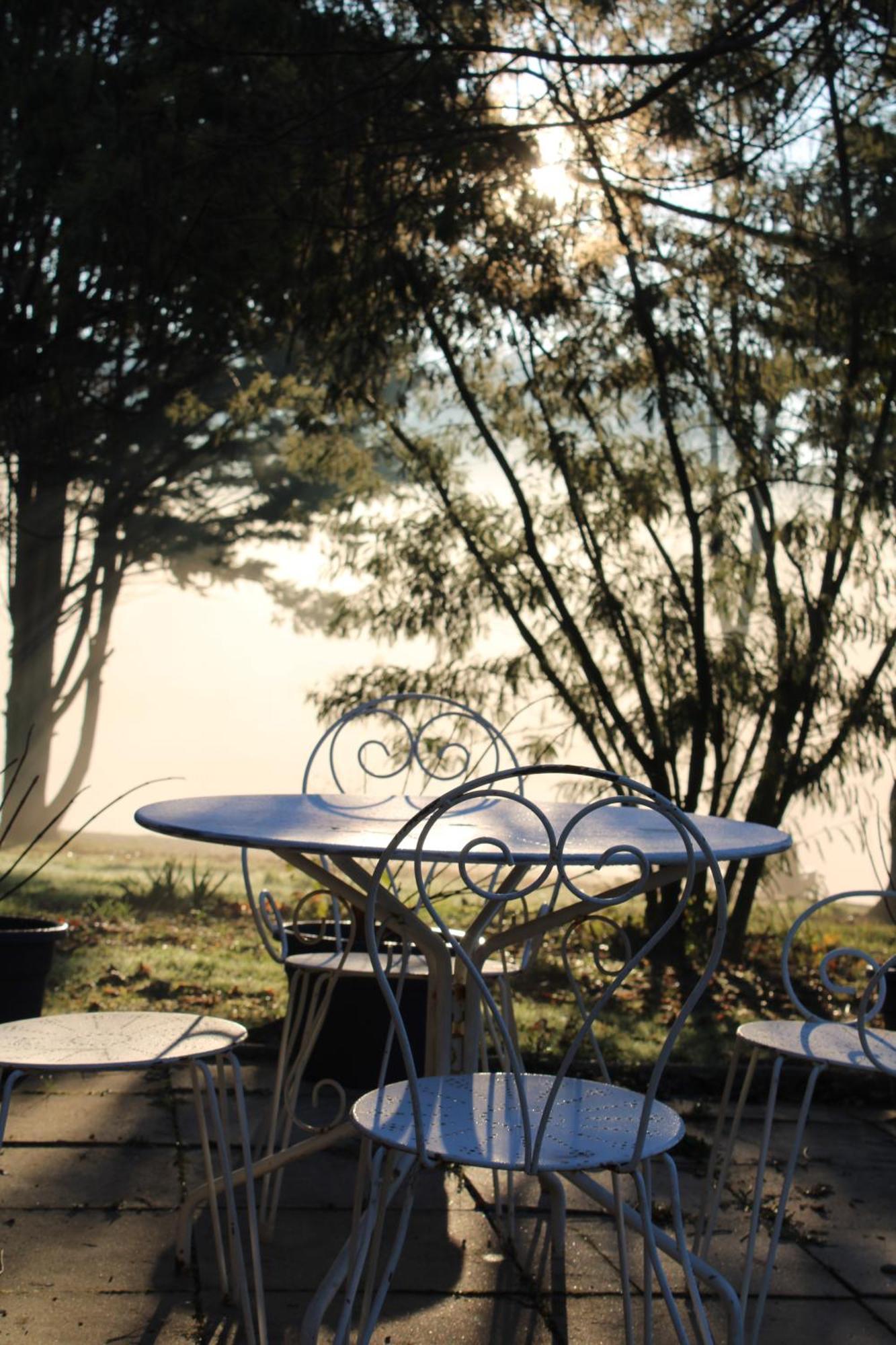 Bed and Breakfast Domaine De Calabel à Pouylebon Extérieur photo